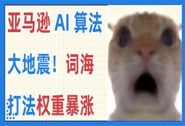 Rufus 并入 Alexa for Shopping，词海打法权重暴涨